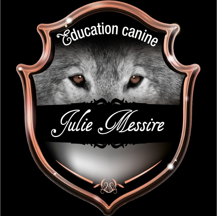 Julie Messire Education canine